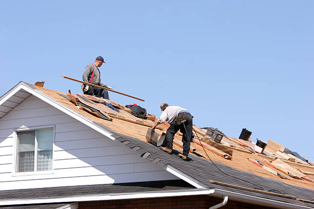 Best Rubber Roofing (EPDM, TPO)  in Perham, MN